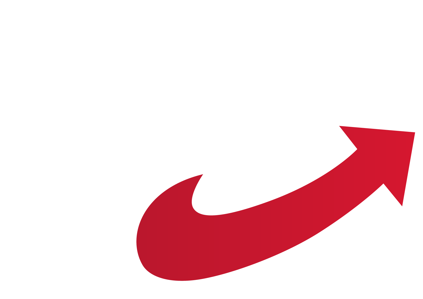 AfD_Logo_RGB_NEG